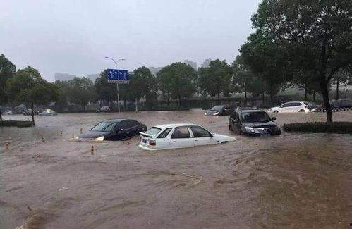 武汉爬楼梯爆料视频大全,揭秘城市生活百态